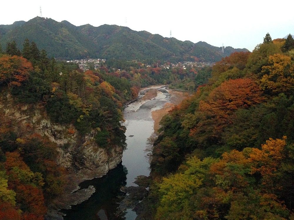 白川橋から東京方面の紅葉