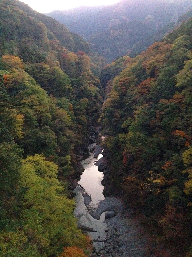 白川橋から中津川方面の紅葉