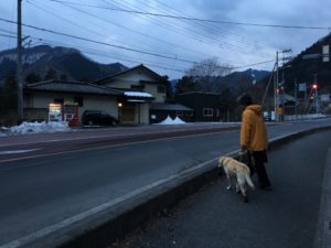 国道140号から見た雪像