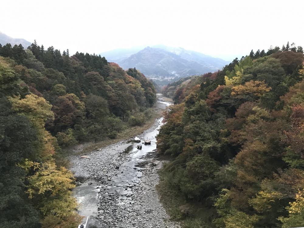 平和橋からの眺め