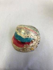 虹色の貝殻