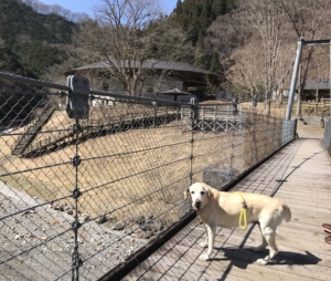 吊り橋からこまどり荘