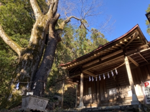 八幡大神社