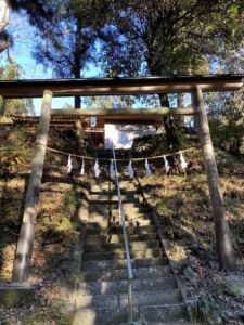 八幡大神社を見上げて
