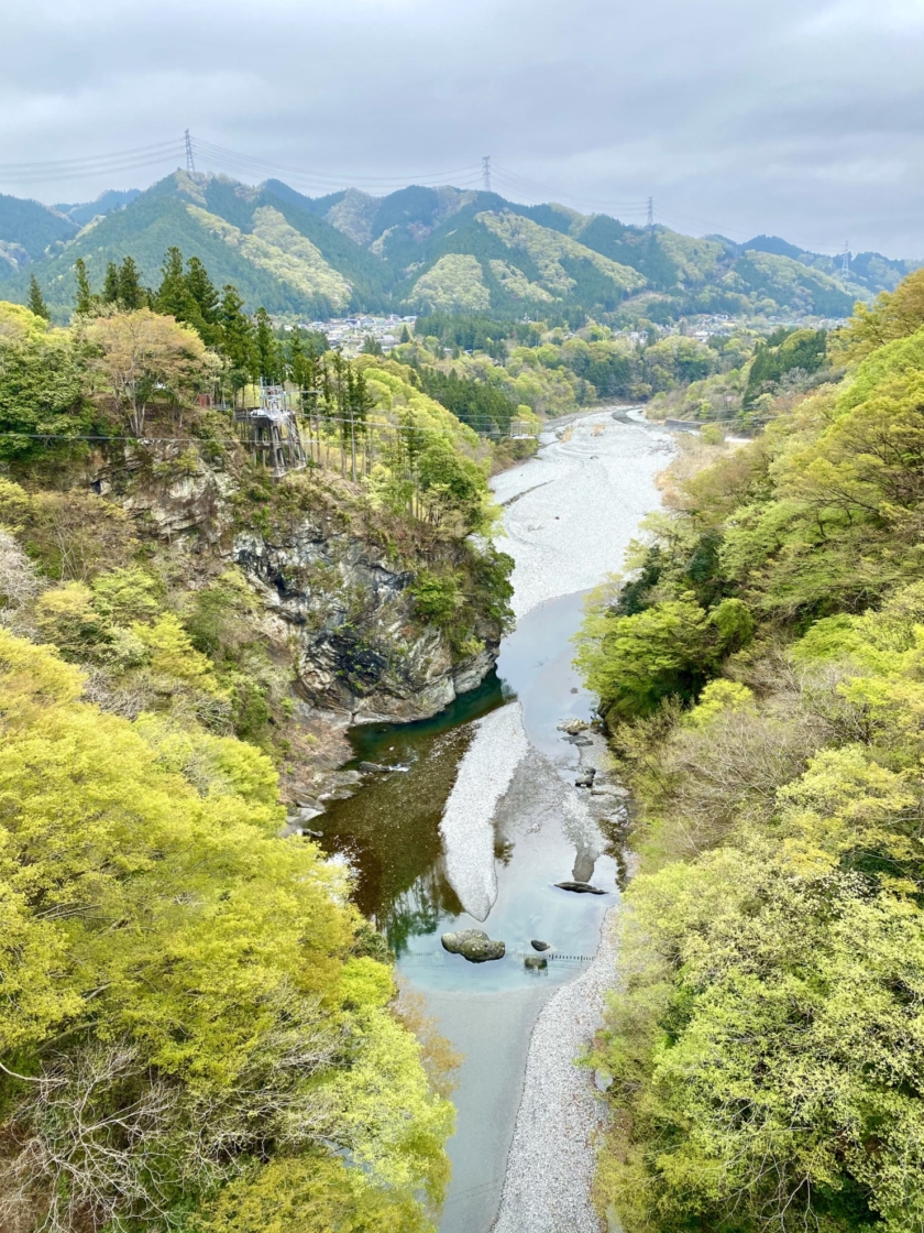 2021 4 もえぎ色