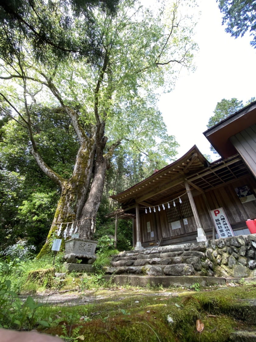 八幡大神社