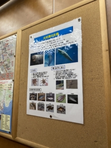 大村湾